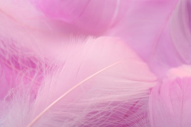 Photo of Beautiful pink feathers as background, closeup view