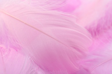 Photo of Beautiful pink feathers as background, closeup view