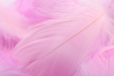 Photo of Beautiful pink feathers as background, closeup view