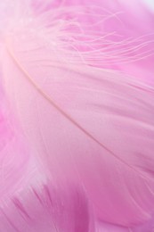 Photo of Beautiful pink feathers as background, closeup view