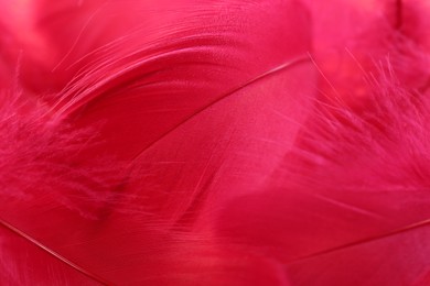 Photo of Beautiful fluffy feathers as background, closeup view