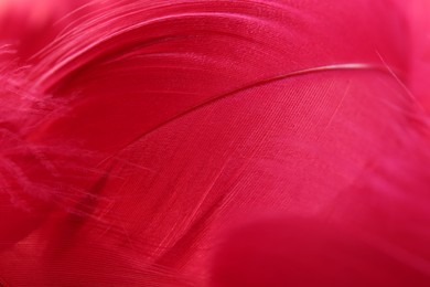 Photo of Beautiful fluffy feathers as background, closeup view