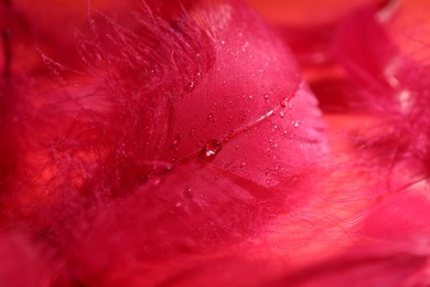 Photo of Beautiful fluffy feathers as background, closeup view