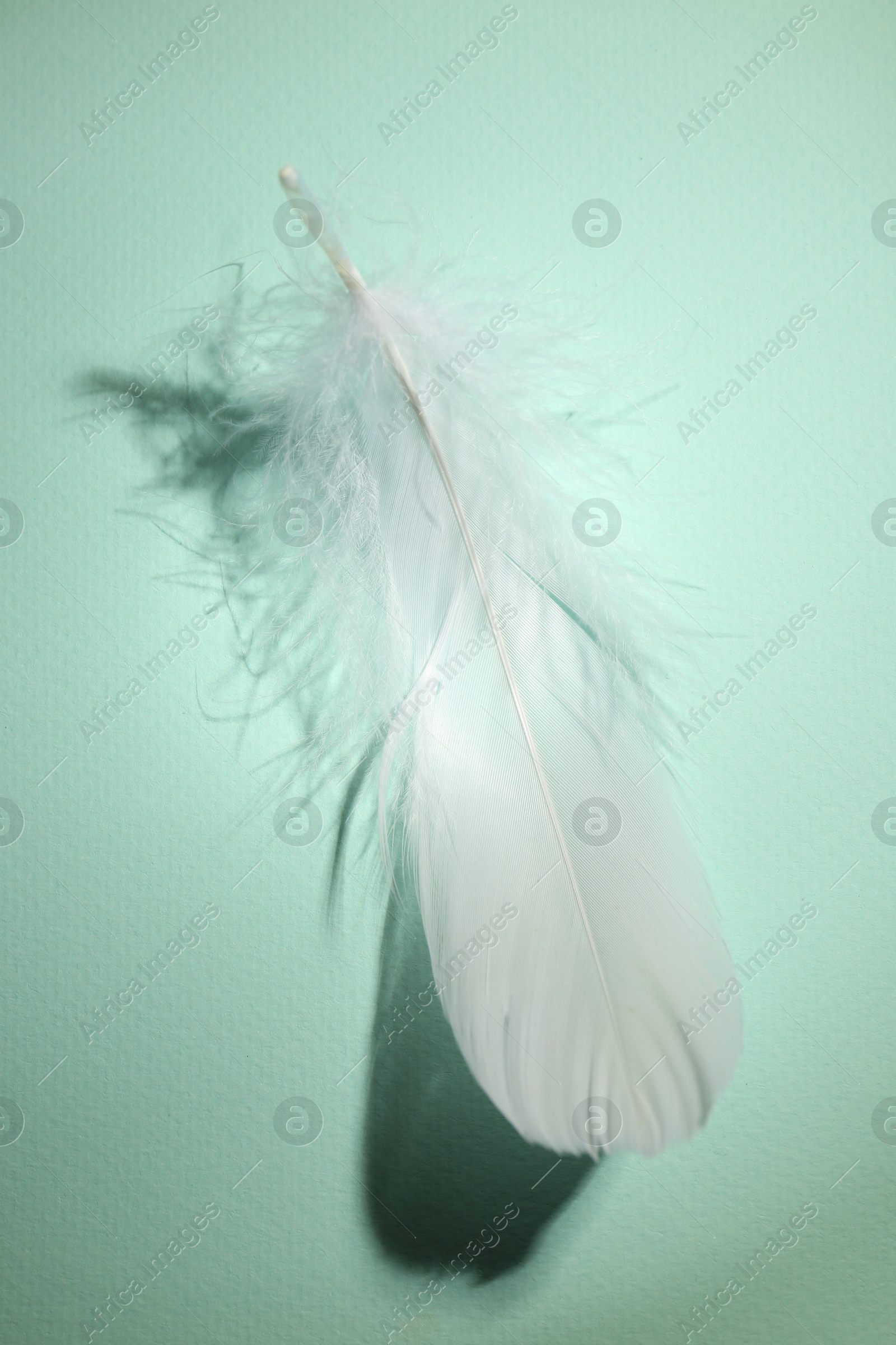 Photo of Fluffy white feather on light turquoise background, top view