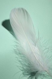 Photo of Fluffy white feather on light turquoise background, top view