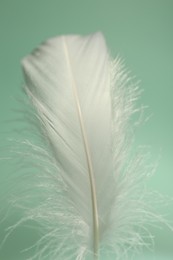 Photo of Fluffy white feather on light turquoise background, closeup