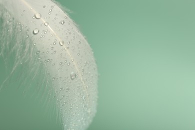 Photo of Fluffy white feather with water drops on light turquoise background, closeup. Space for text