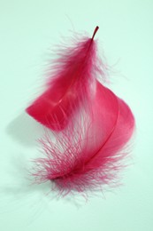 Photo of Fluffy pink feathers on light background, closeup