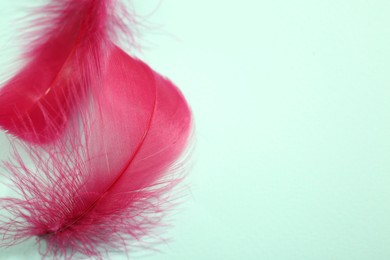 Photo of Fluffy pink feathers on light background, closeup. Space for text