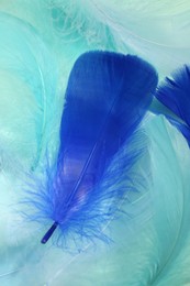 Photo of Beautiful fluffy feathers as background, closeup view