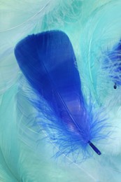 Photo of Beautiful fluffy feathers as background, closeup view