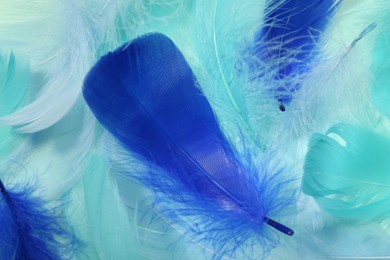 Photo of Beautiful fluffy feathers as background, closeup view