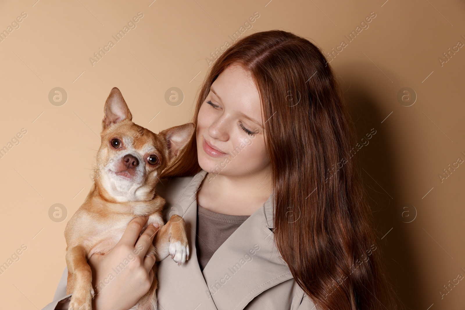 Photo of Pretty red-haired teenage girl with her Chihuahua dog on dark beige background