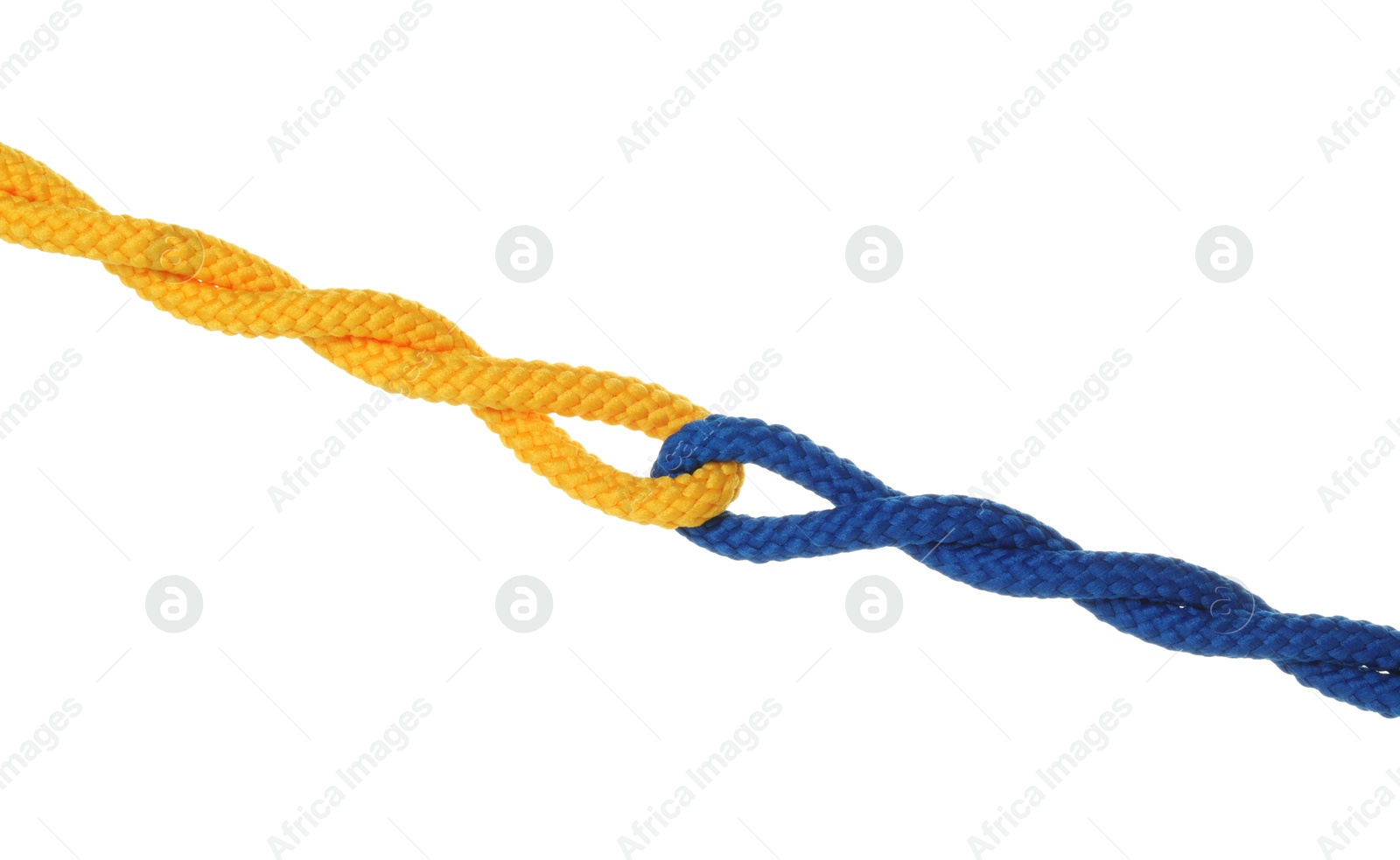 Photo of Colorful ropes tied together isolated on white. Unity concept