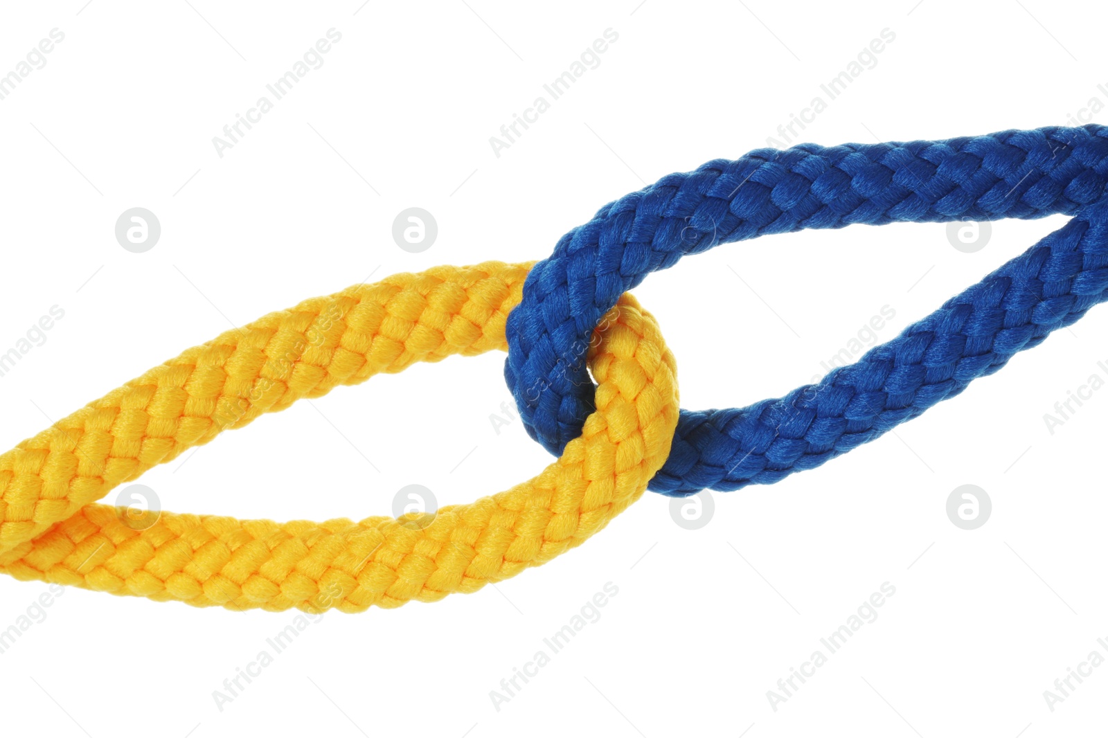 Photo of Colorful ropes tied together isolated on white. Unity concept