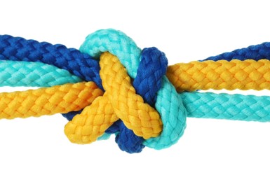 Photo of Colorful ropes tied in knot isolated on white. Unity concept