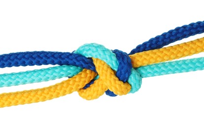 Photo of Colorful ropes tied in knot isolated on white. Unity concept