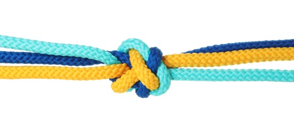 Photo of Colorful ropes tied in knot isolated on white. Unity concept