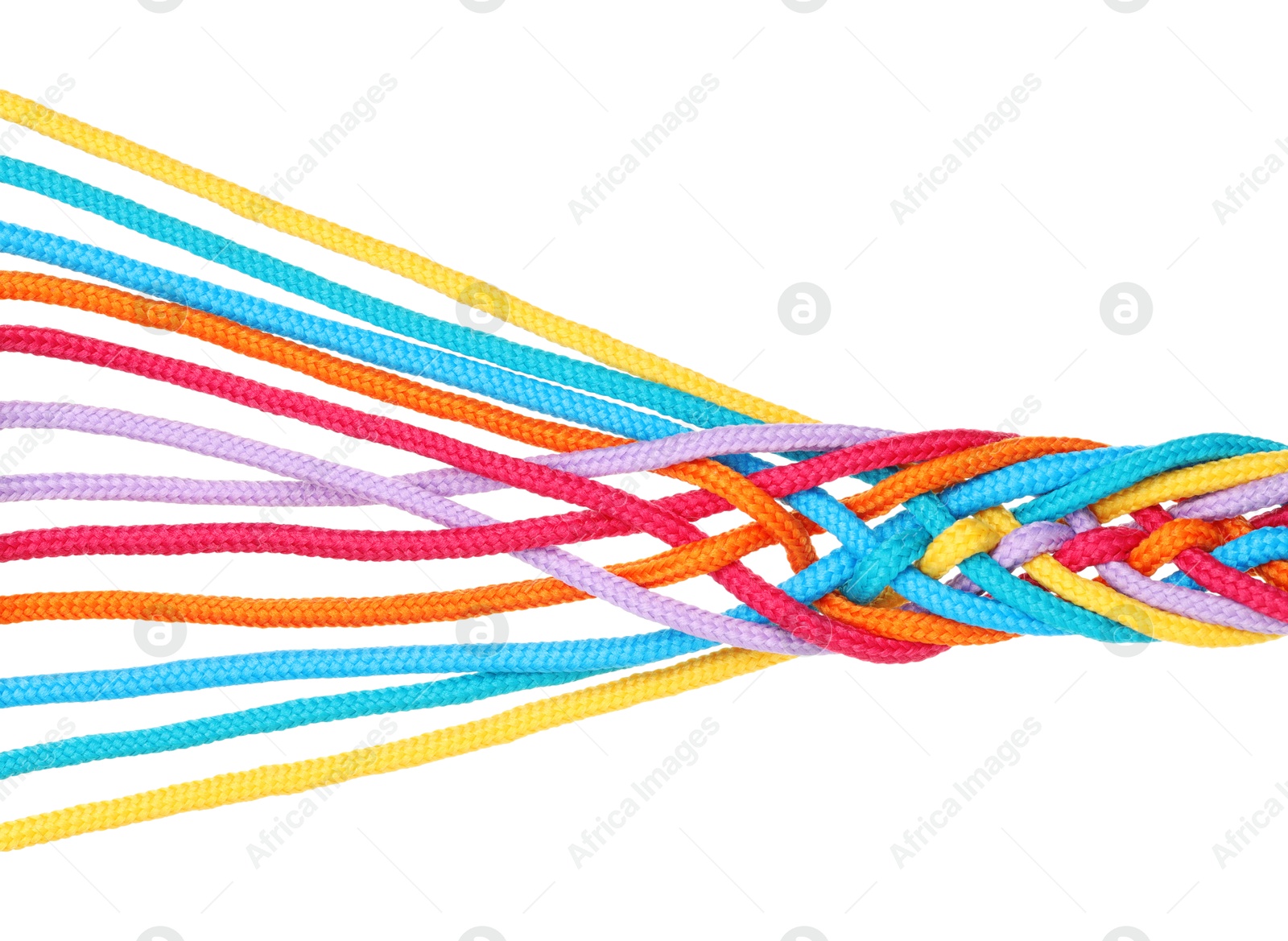 Photo of Colorful ropes tied together isolated on white, top view. Unity concept