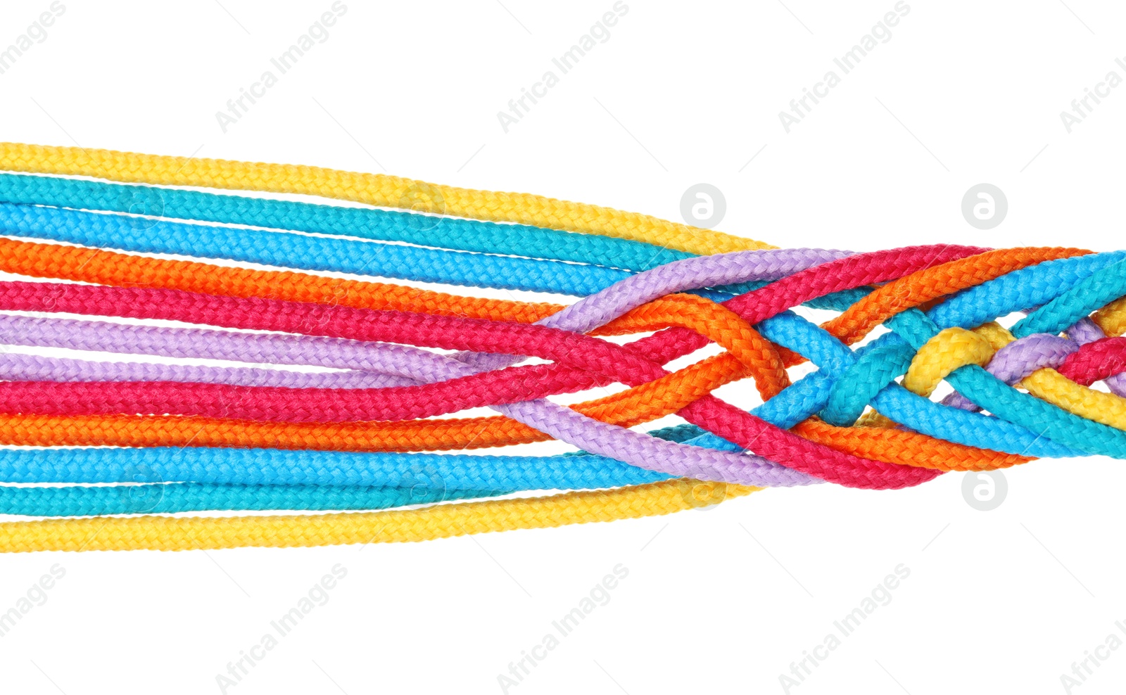 Photo of Colorful ropes tied together isolated on white, top view. Unity concept