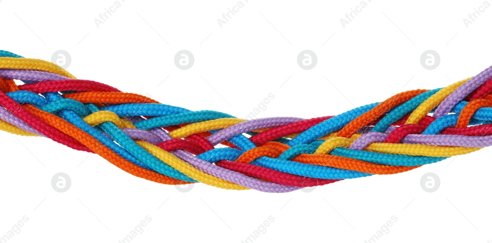 Photo of Colorful ropes tied together isolated on white. Unity concept