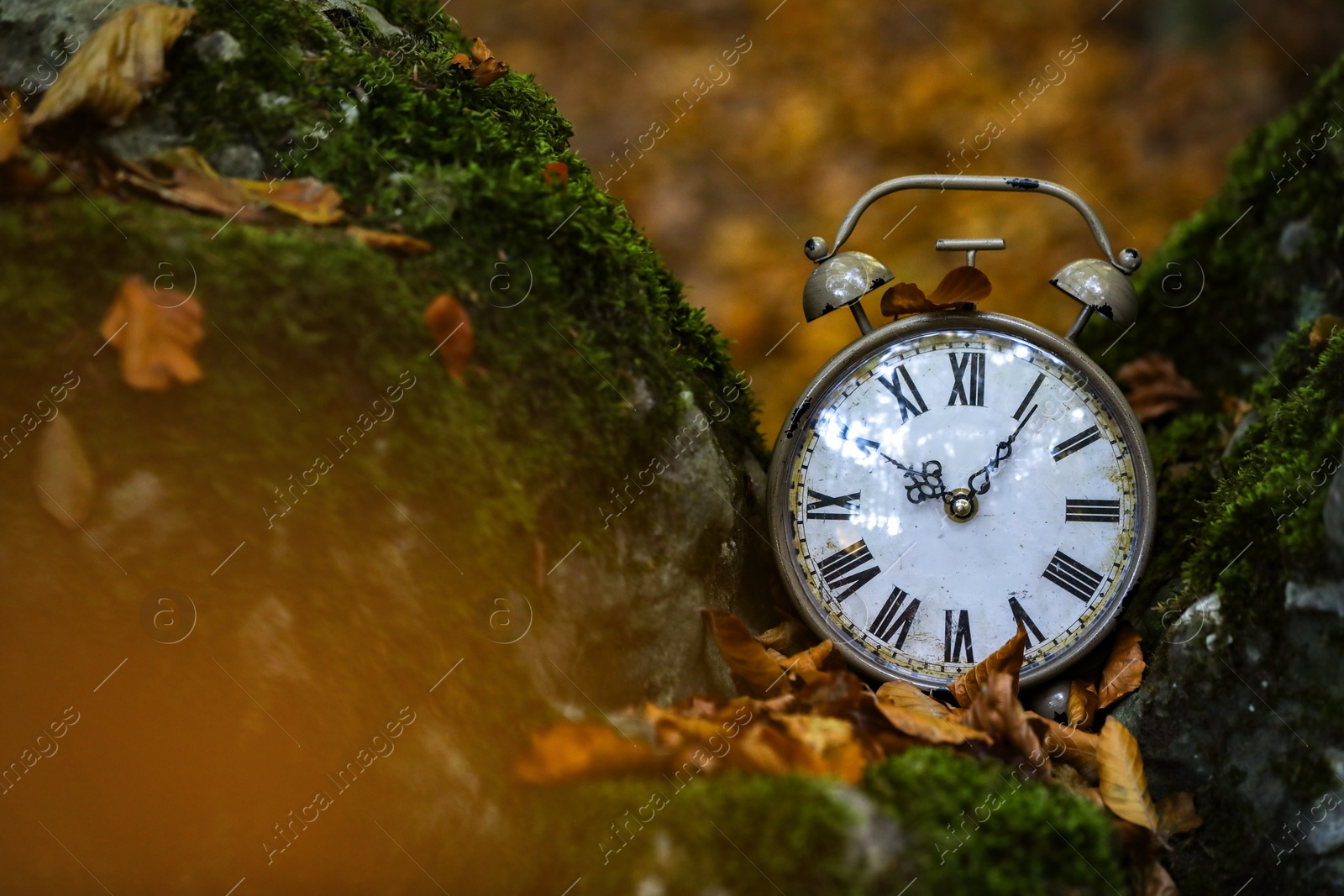 Photo of Alarm clock on fallen dry leaves outdoors, closeup. Space for text