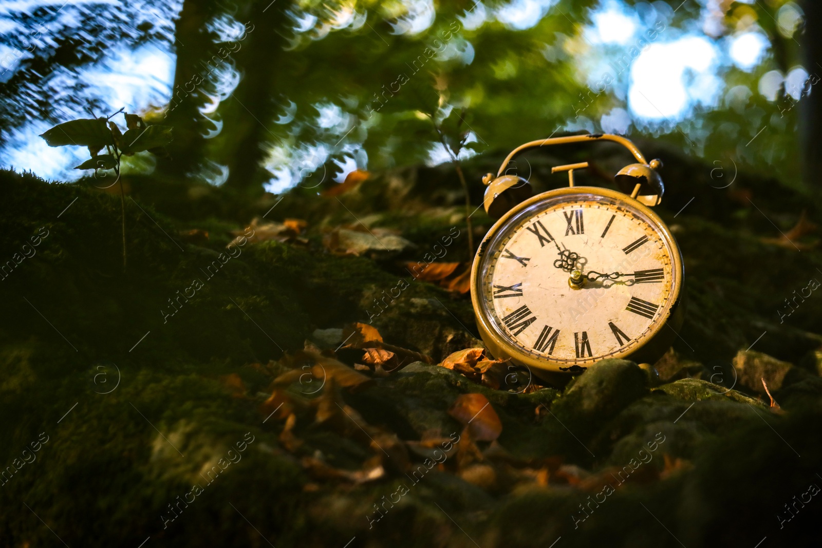 Photo of Alarm clock on fallen dry leaves outdoors, closeup. Space for text