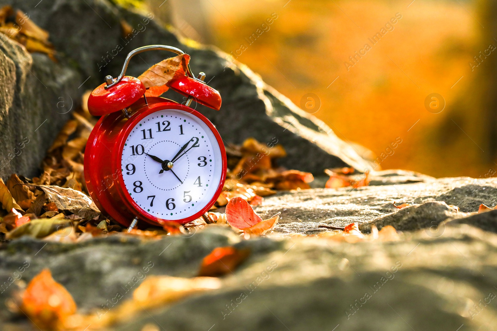 Photo of Alarm clock on fallen dry leaves and stones outdoors, closeup. Space for text