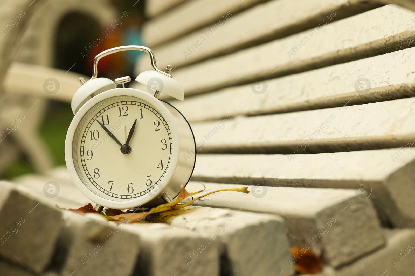 Photo of Autumn time. Alarm clock on bench in park, closeup with space for text