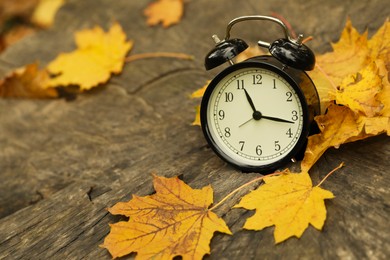 Photo of Autumn time. Alarm clock on tree stump in park, closeup with space for text