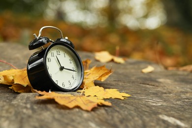 Photo of Autumn time. Alarm clock on tree stump in park, closeup with space for text