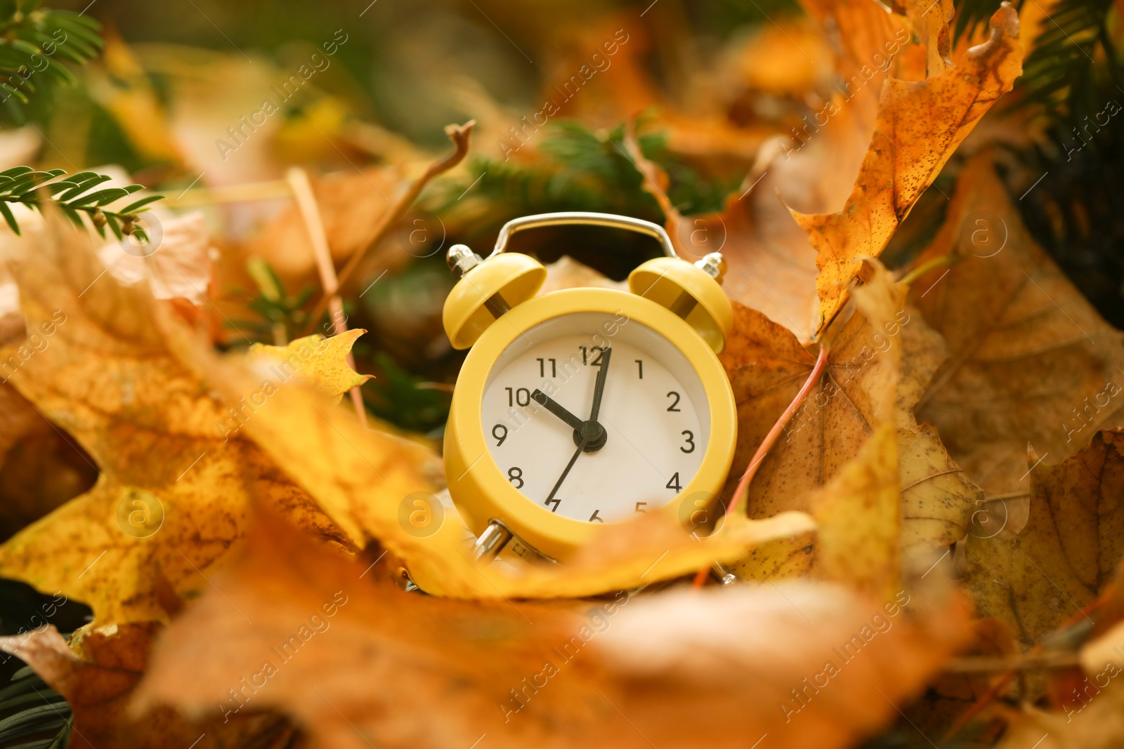 Photo of Autumn time. Alarm clock on fallen leaves, closeup