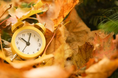 Photo of Autumn time. Alarm clock on fallen leaves, closeup with space for text