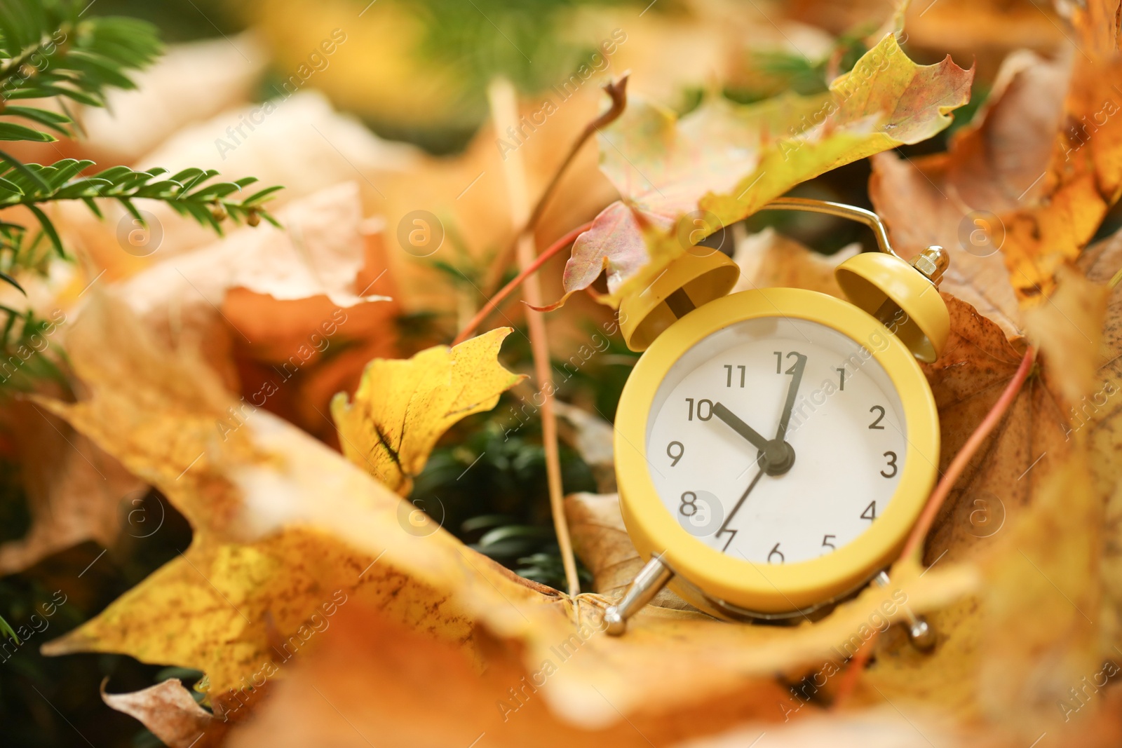 Photo of Autumn time. Alarm clock on fallen leaves, closeup with space for text