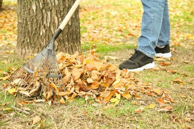 Photo of Man gathering fallen leaves with fan rake outdoors, closeup