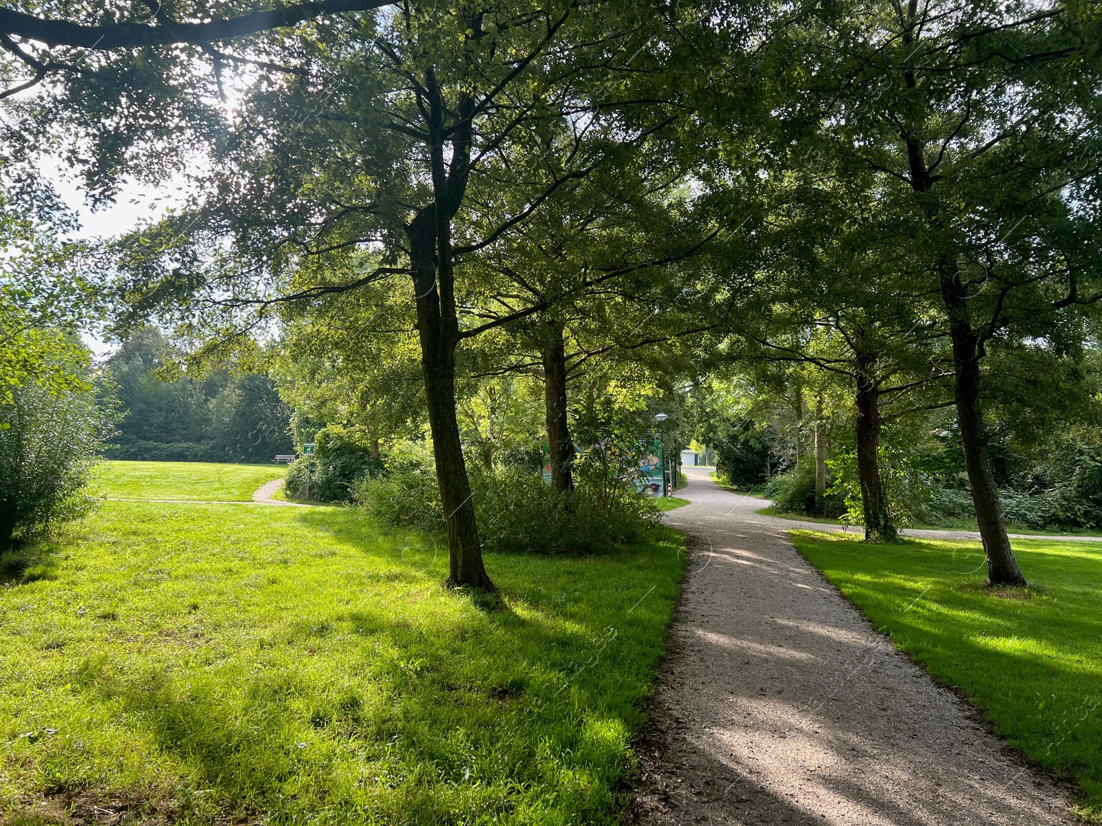 Photo of View of pathway through park with green trees alongside