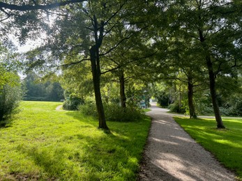 Photo of View of pathway through park with green trees alongside