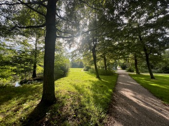 Photo of View of pathway through park with green trees alongside