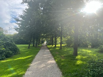 Photo of View of pathway through park with green trees alongside