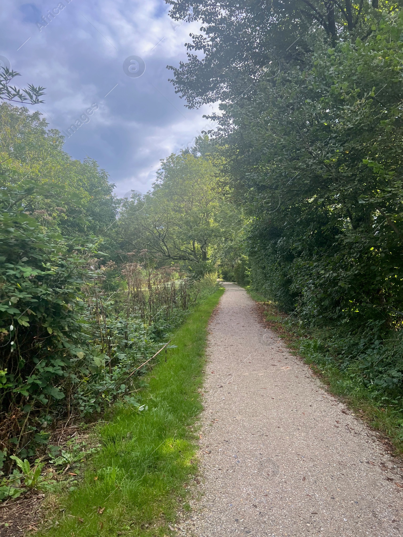 Photo of View of pathway through park with green trees alongside