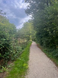 Photo of View of pathway through park with green trees alongside