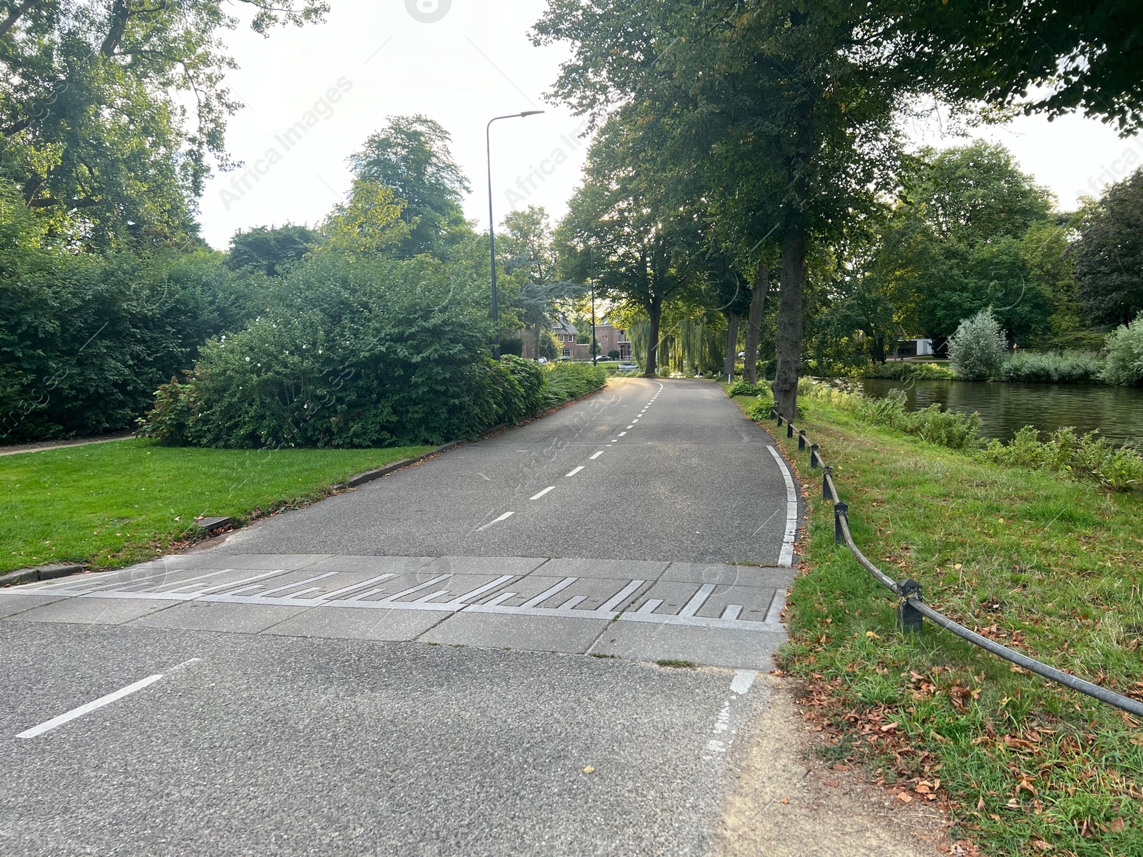 Photo of Beautiful city street with asphalt road and green trees