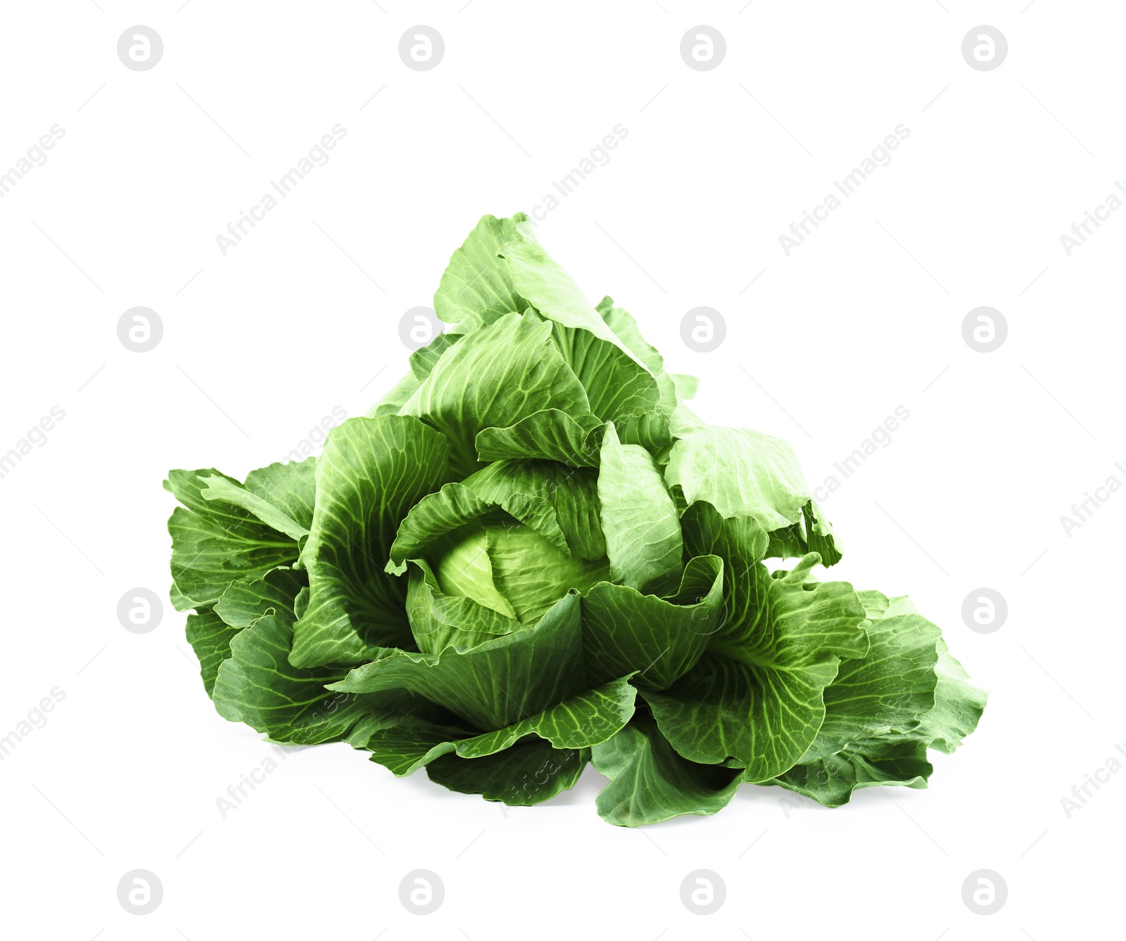 Photo of One ripe head of cabbage isolated on white