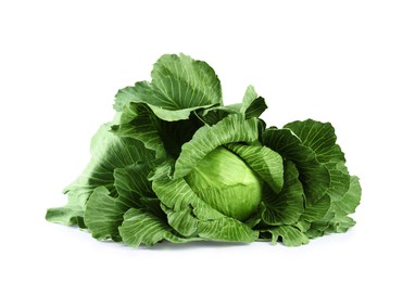 Photo of One ripe head of cabbage isolated on white