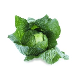 Whole ripe head of cabbage isolated on white