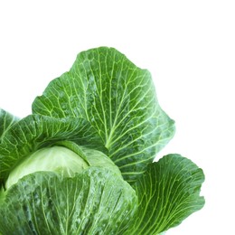 Photo of Whole ripe head of cabbage isolated on white