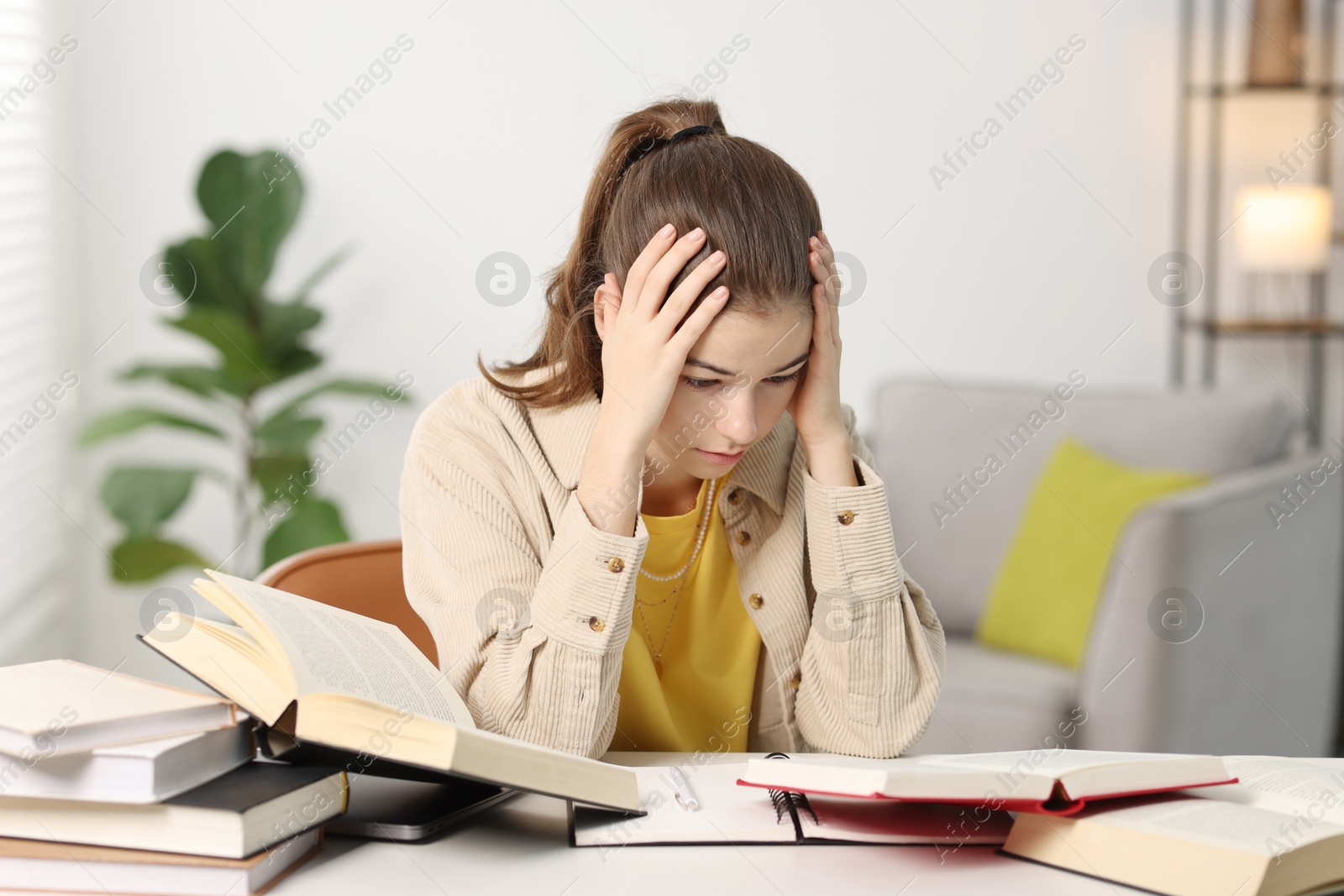 Photo of Student preparing for exam at table indoors