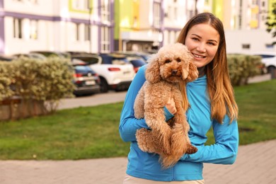 Photo of Woman with cute Toy Poodle dog outdoors