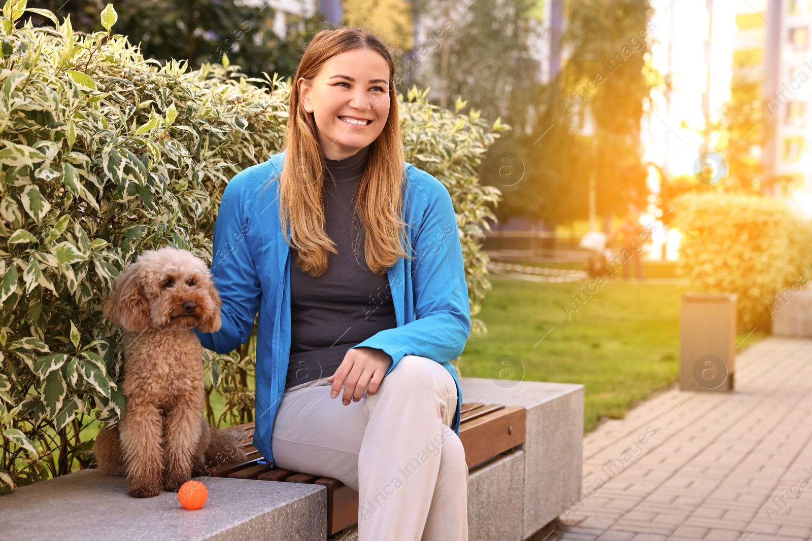 Photo of Woman with cute Toy Poodle dog outdoors