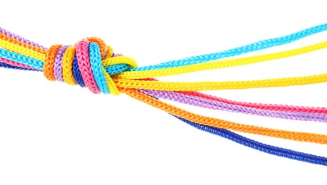 Colorful ropes tied in knot isolated on white. Unity concept